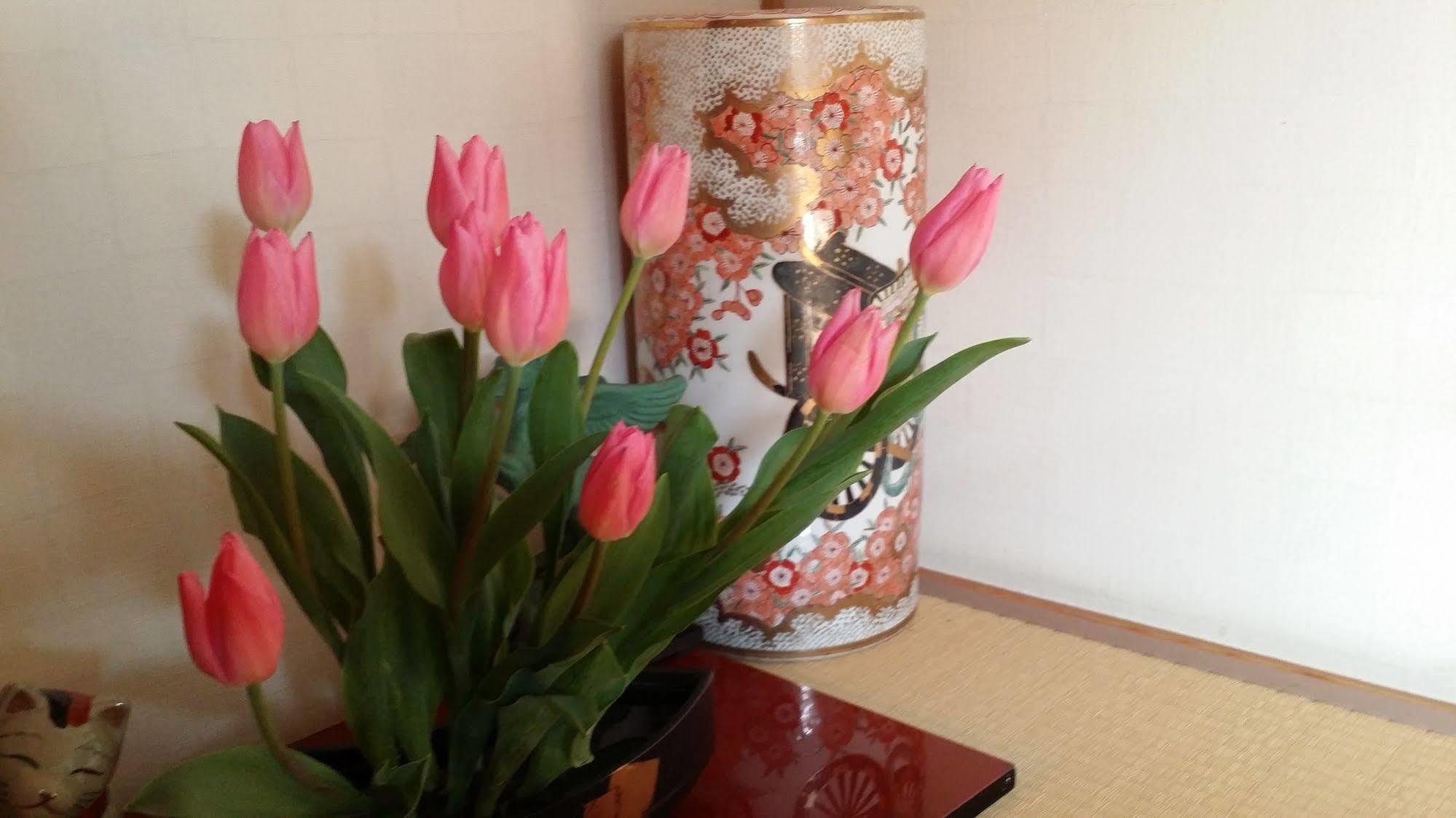 Ryokan Odoso Miyazaki Buitenkant foto